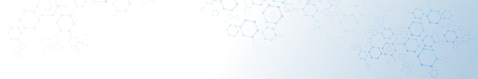 센터 일정